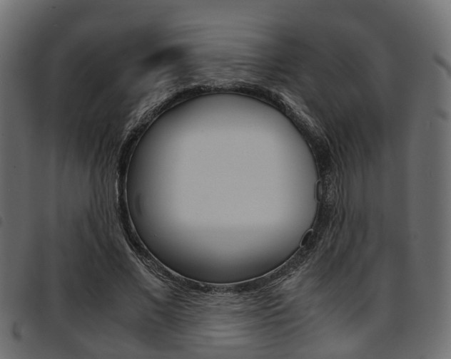 X0000094950685200711291105
