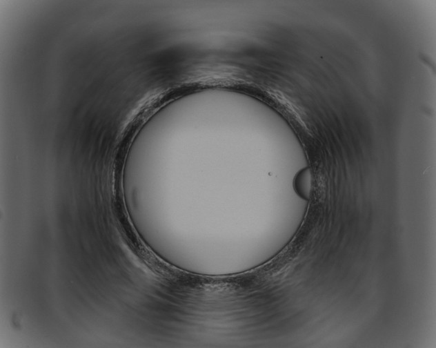 X0000094950686200711291105