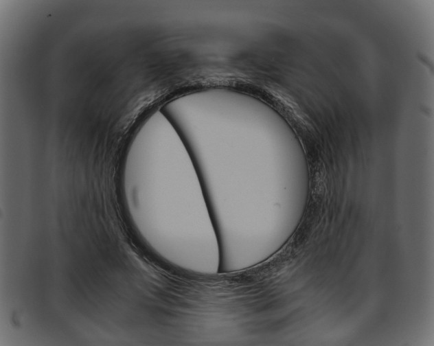 X0000094950687200711291105