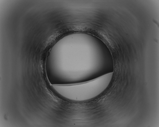 X0000094950688200711291105