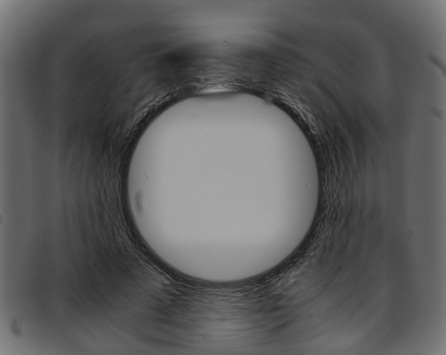 X0000094950689200711291105