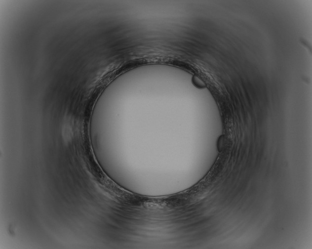 X0000094950690200711291105