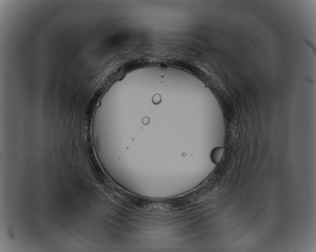 X0000094950691200711291105