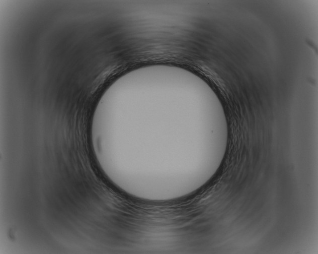 X0000094950693200711291105