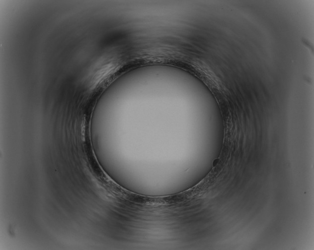 X0000094950694200711291105