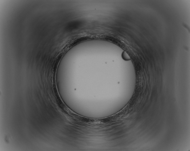 X0000094950695200711291105