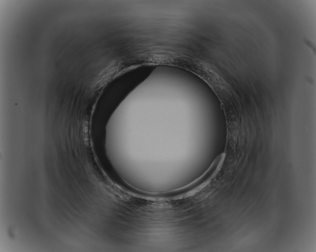 X0000094950696200711291105