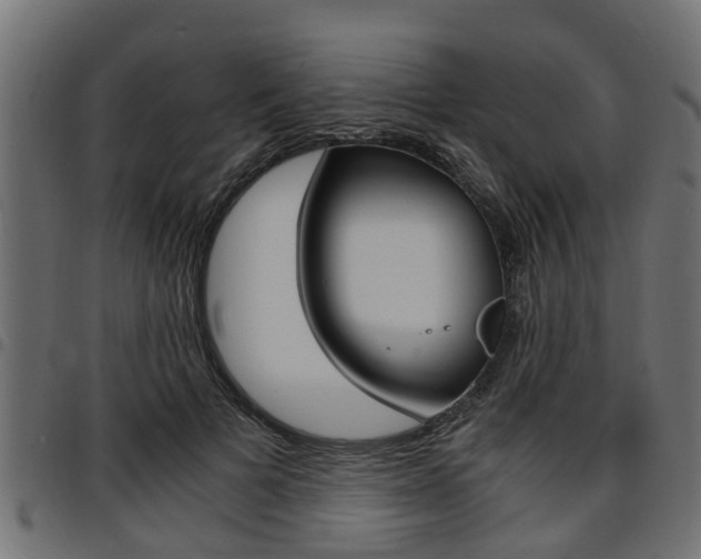 X0000094950697200711291105