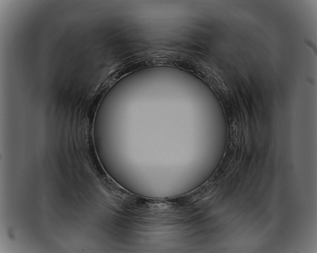 X0000094950698200711291105