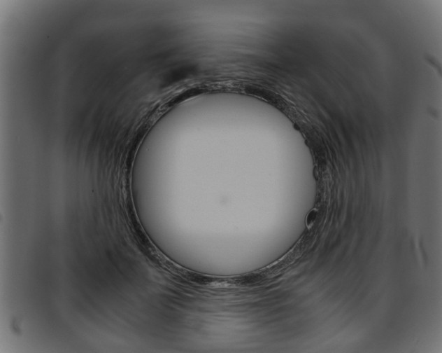 X0000094950699200711291105