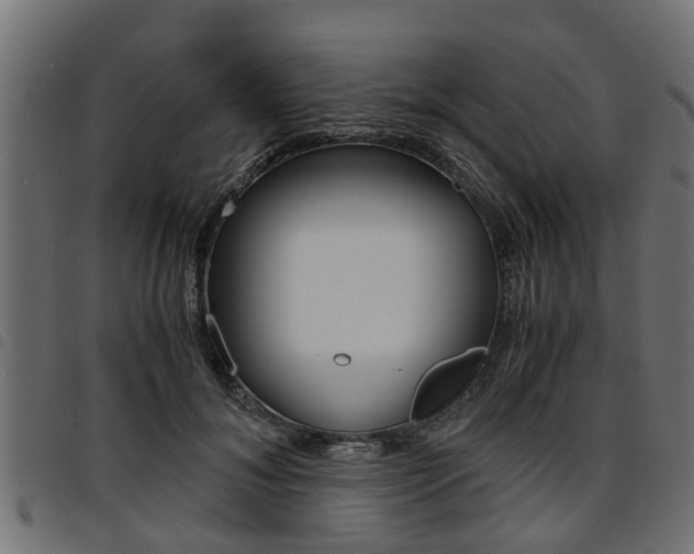 X0000094950700200711291105