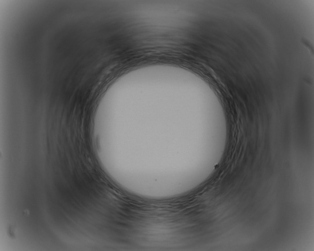 X0000094950701200711291105