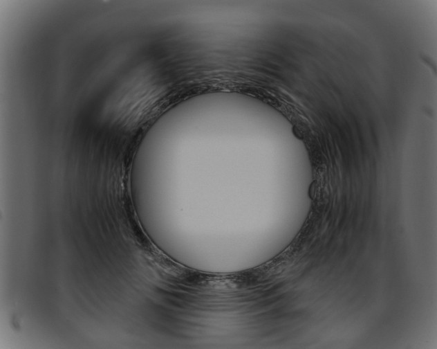 X0000094950702200711291105