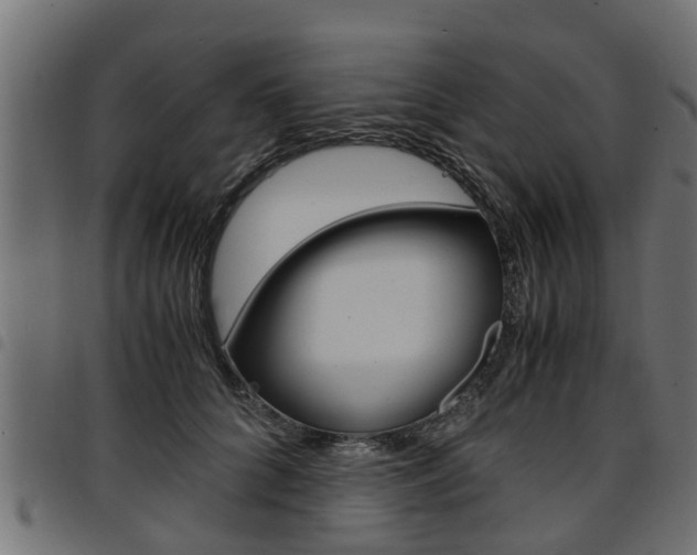 X0000094950704200711291105