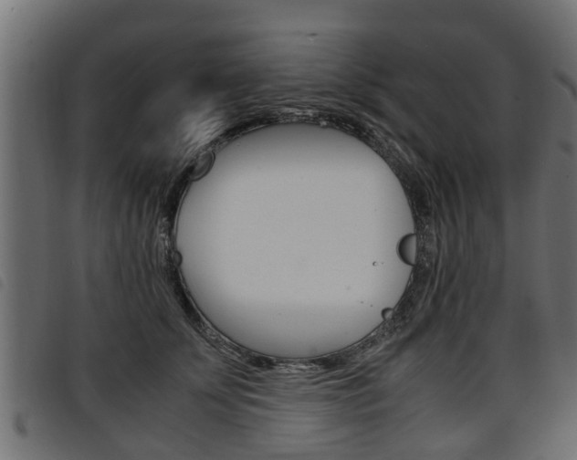 X0000094950707200711291105