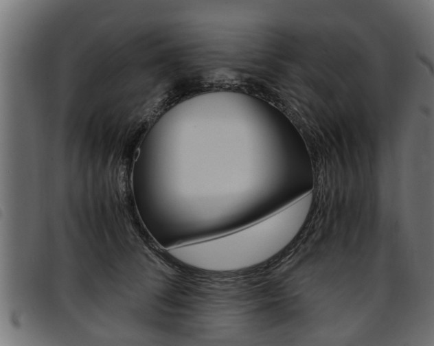 X0000094950708200711291105