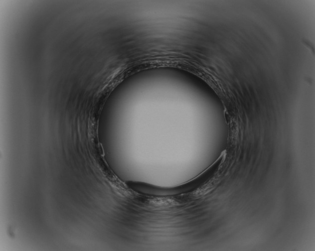 X0000094950712200711291105