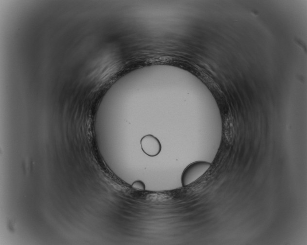 X0000094950714200711291105