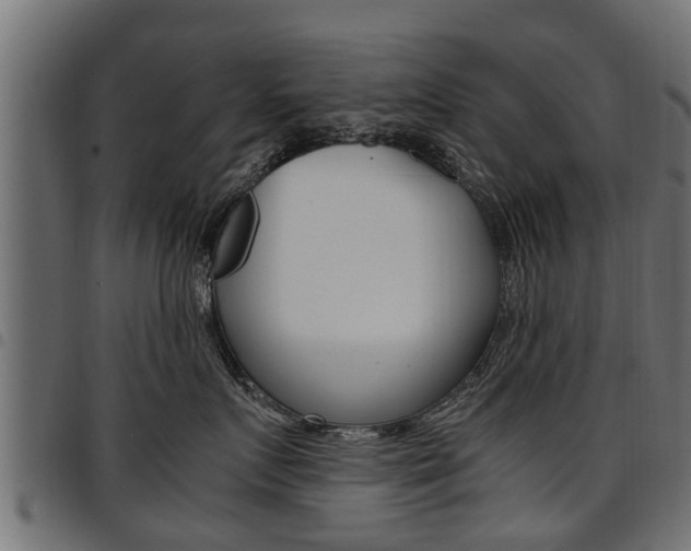 X0000094950719200711291105