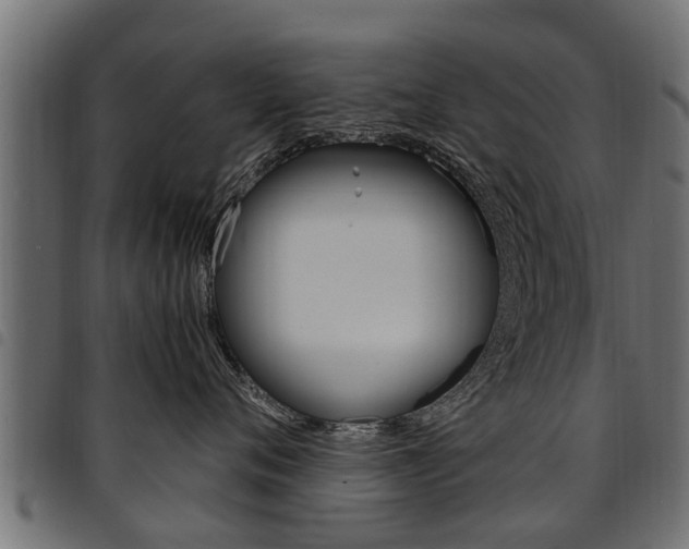 X0000094950720200711291105