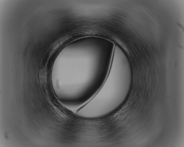 X0000094950722200711291104