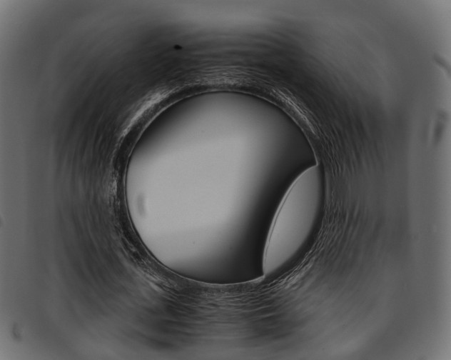 X0000094950723200711291104