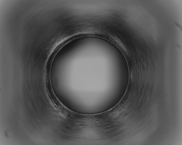 X0000094950724200711291104