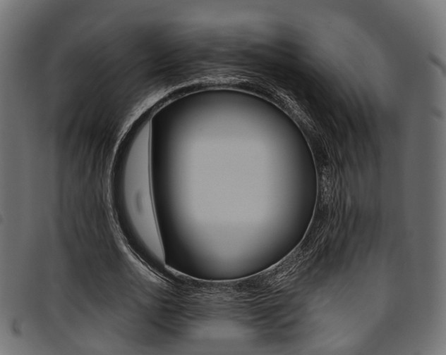X0000094950726200711291104