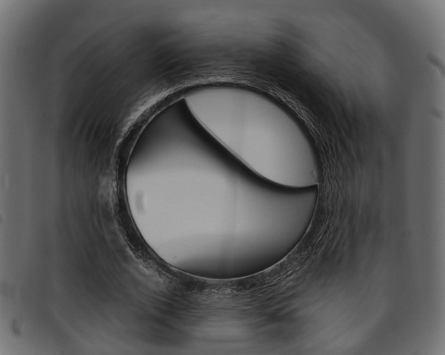 X0000094950728200711291104