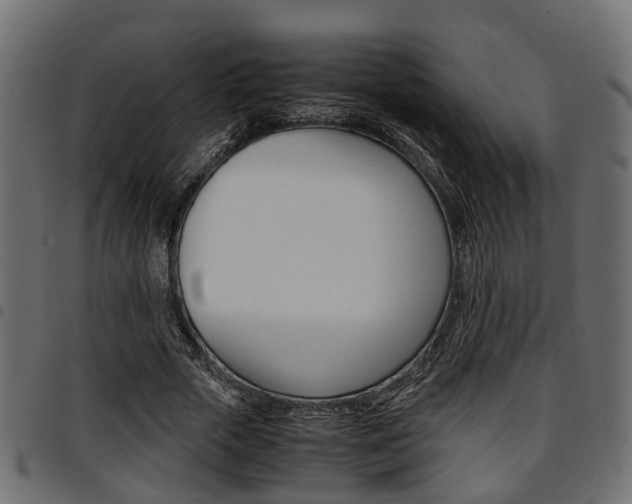 X0000094950729200711291104