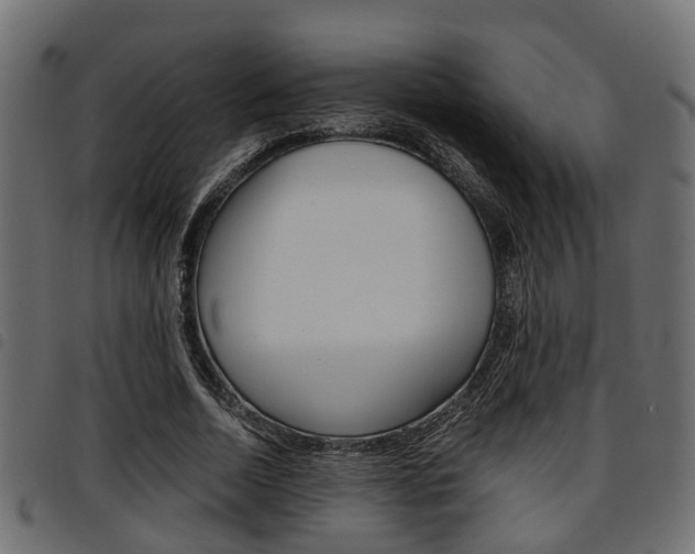 X0000094950730200711291104