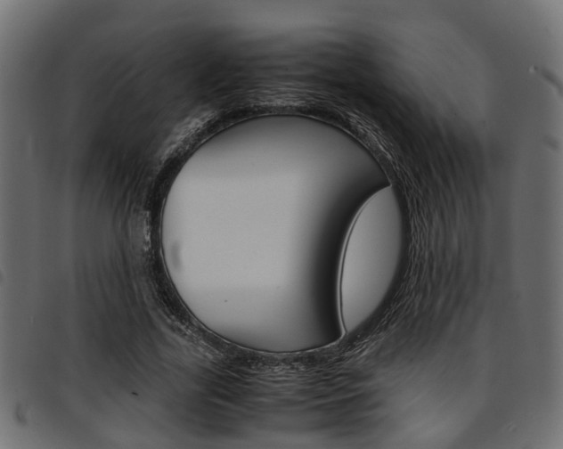 X0000094950731200711291104
