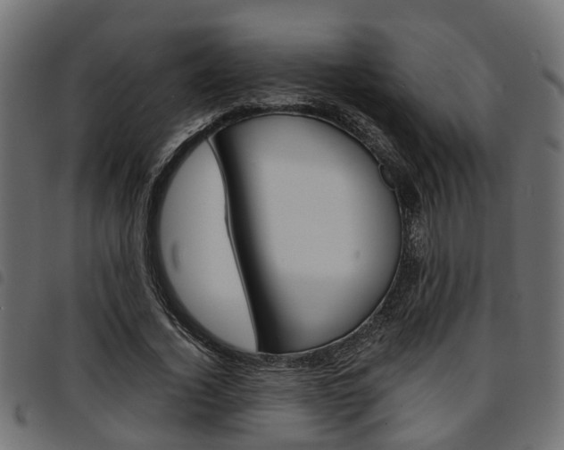 X0000094950732200711291104