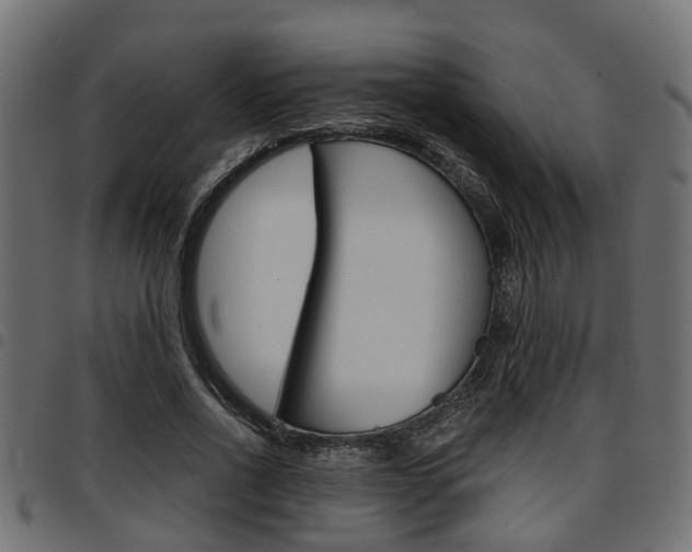 X0000094950734200711291104
