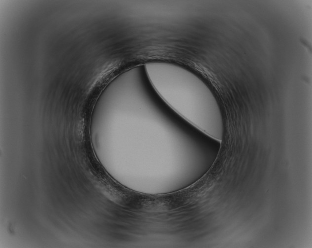 X0000094950735200711291104