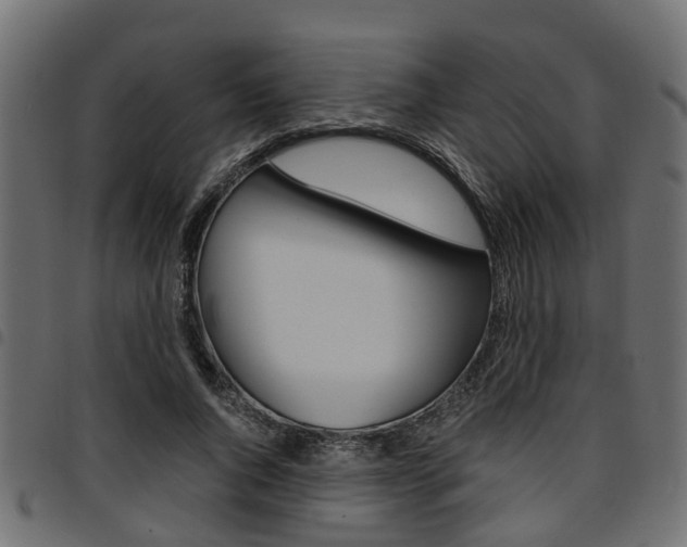 X0000094950736200711291104