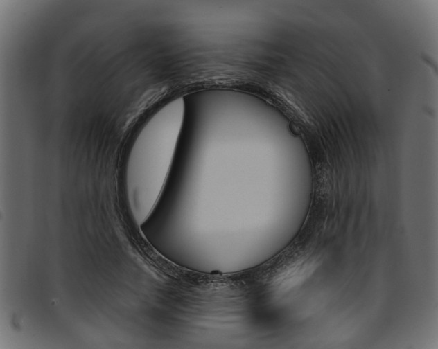 X0000094950738200711291104