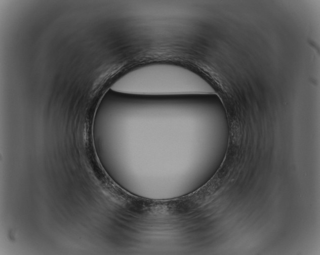 X0000094950740200711291104