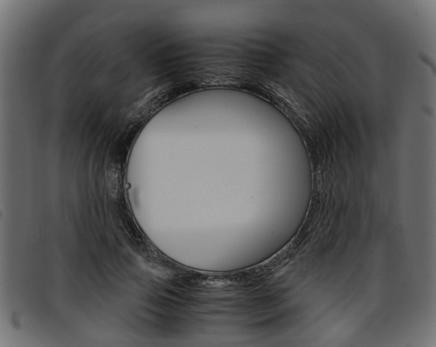 X0000094950741200711291104