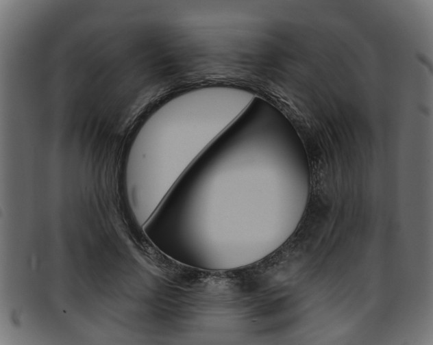 X0000094950742200711291104