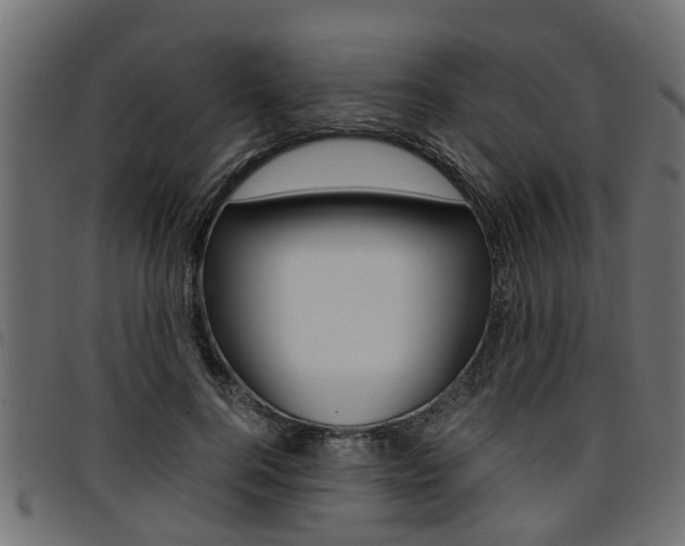 X0000094950744200711291104