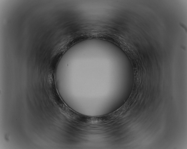 X0000094950746200711291104