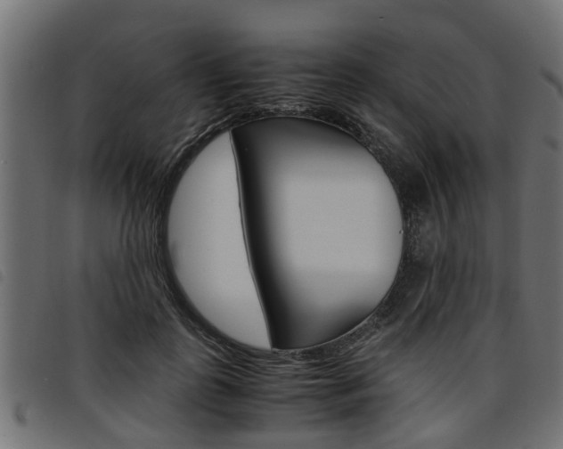 X0000094950747200711291104