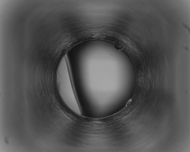 X0000094950748200711291104