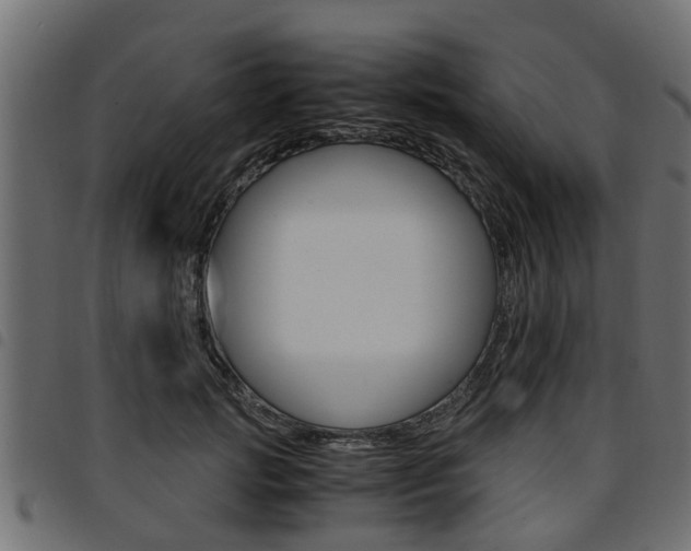 X0000094950749200711291104