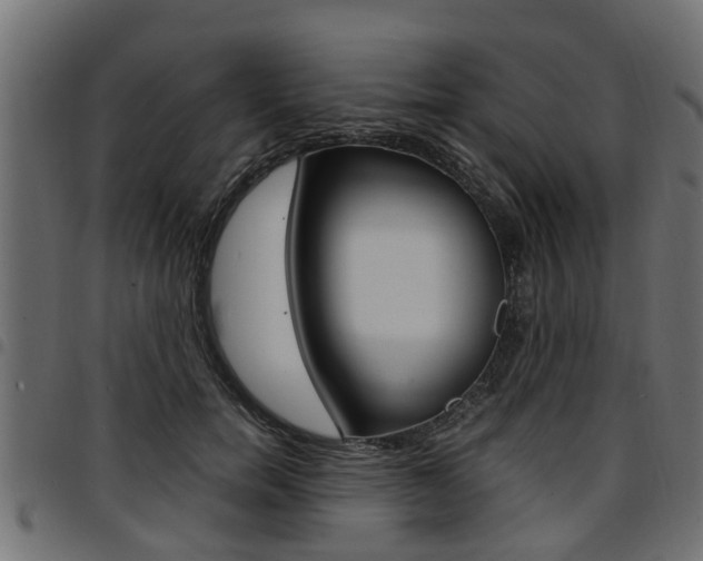 X0000094950750200711291104