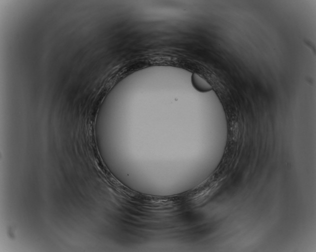 X0000094950753200711291104