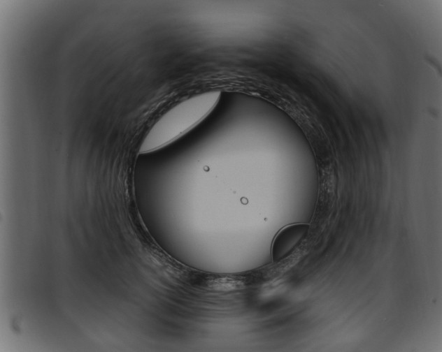 X0000094950754200711291104