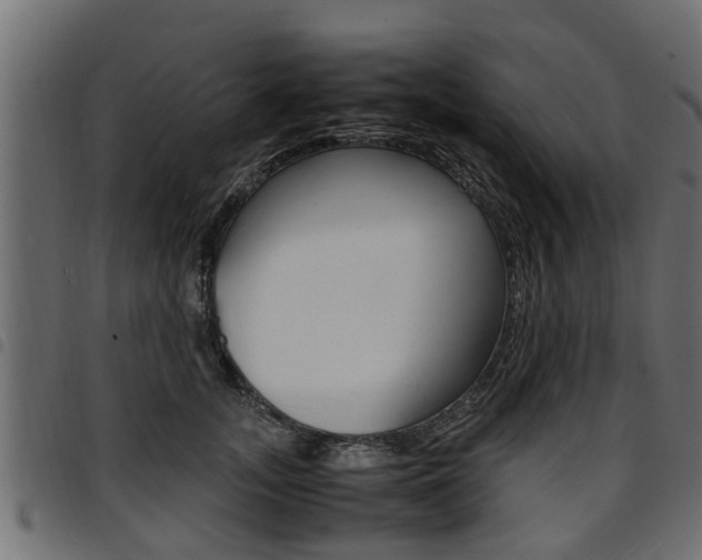 X0000094950755200711291104