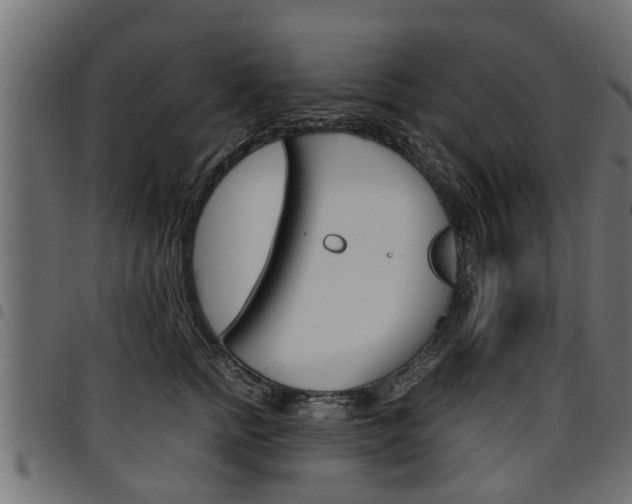 X0000094950758200711291105